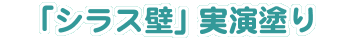 �u�V���X�ǁv�����h��
