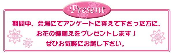 �v���[���g