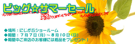 �Ẵr�b�O���T�}�[�Z�[��