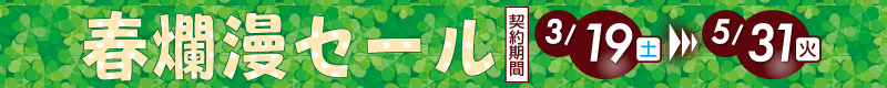 tࣖZ[