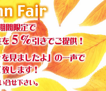 5�������ł��񋟁I