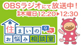 OBSWÎm点